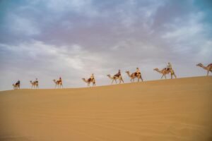 City Tour – Abu Dhabi